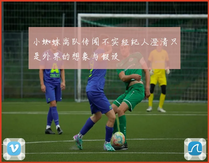 小蜘蛛离队传闻不实经纪人澄清只是外界的想象与假设