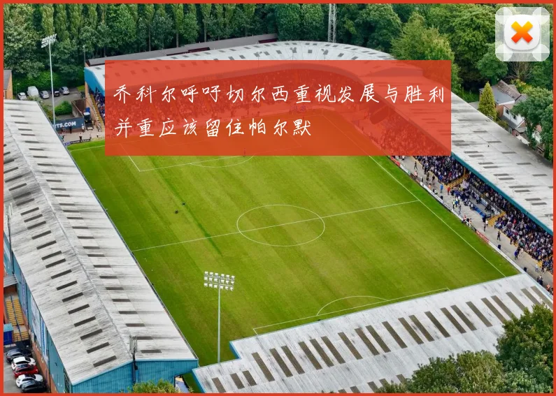 乔科尔呼吁切尔西重视发展与胜利并重应该留住帕尔默