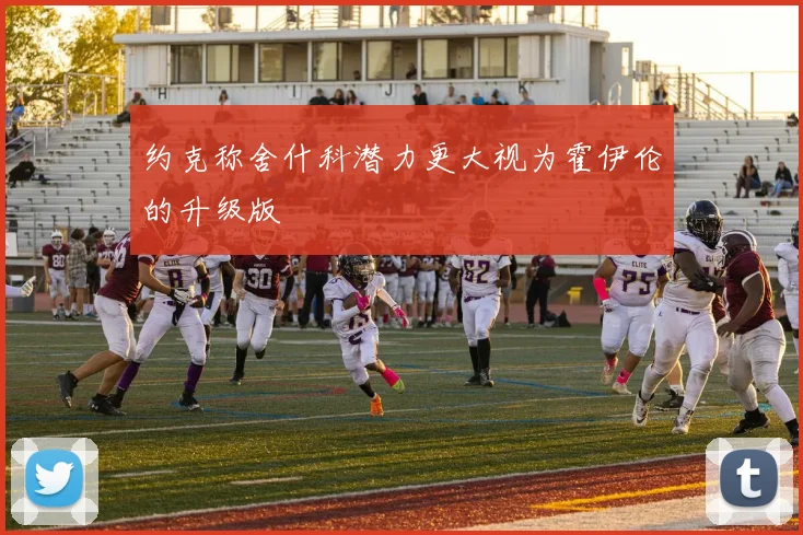 约克称舍什科潜力更大视为霍伊伦的升级版