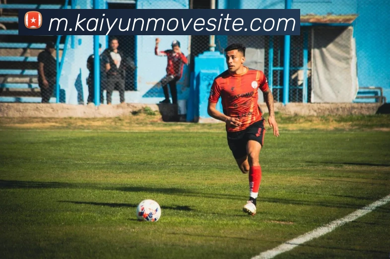 开云体育平台生态图